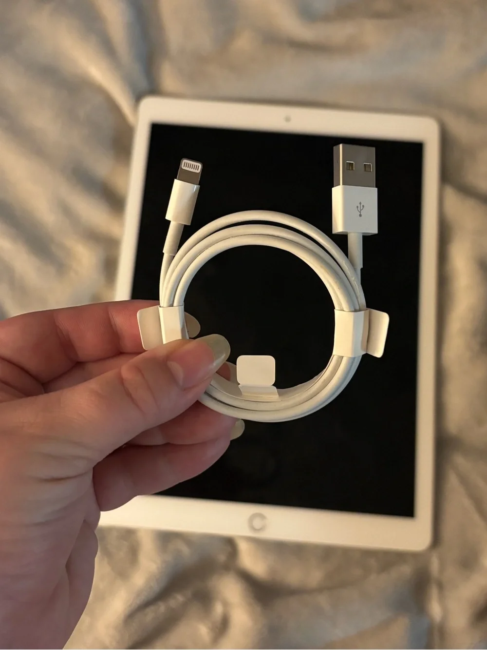 Apple iPad Pro 12.9-inch 1st Gen in Silver w/ Apple Lightning USB Cable